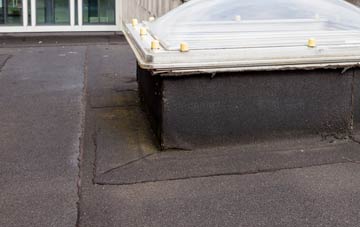 disadvantages of Trolliloes flat roofs