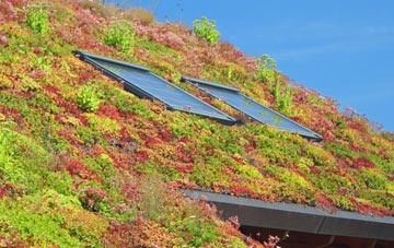 Trolliloes living roof systems
