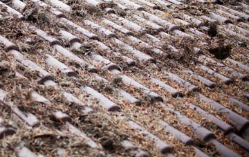 Trolliloes roof cleaning companies