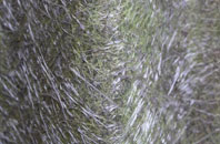 Trolliloes fibreglass roof work